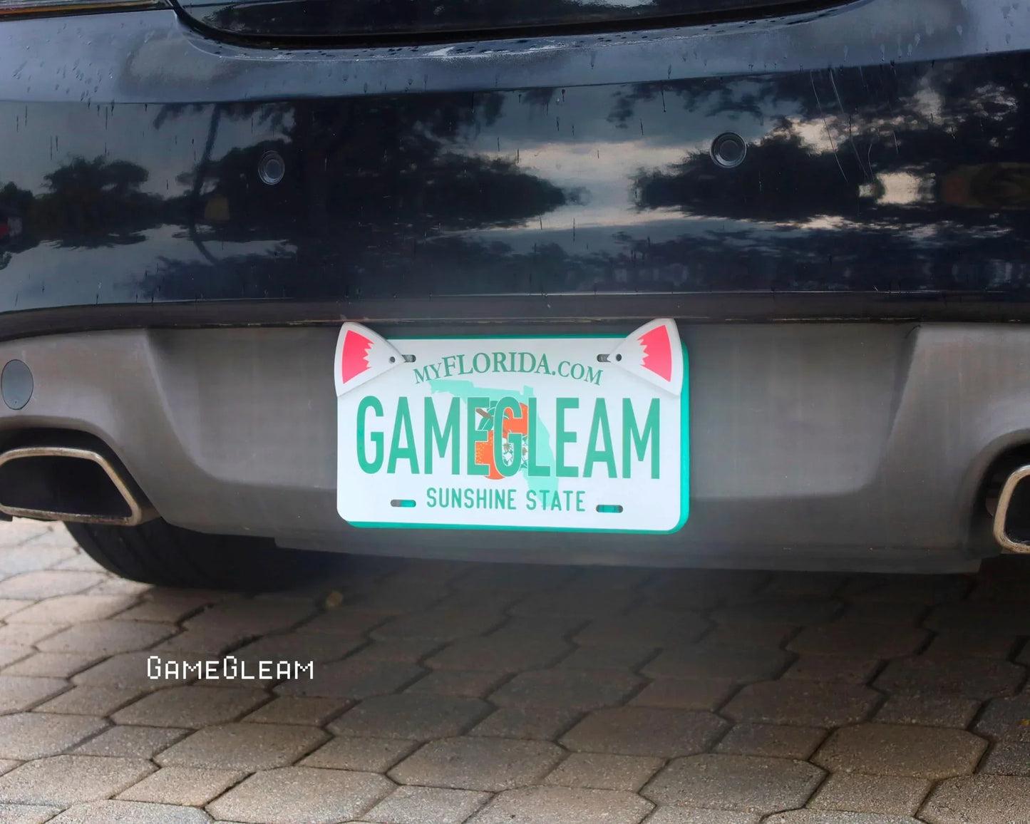 Custom Florida license plate on black car with shark fin accents and 'GAMEGLEAM' text.