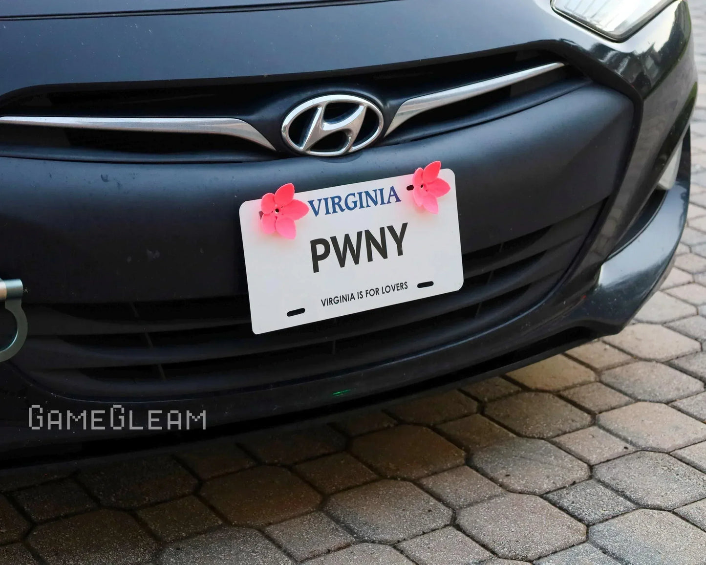 Close-up of a Hyundai car front with a novelty Virginia license plate reading 'PWNY' and pink flower pins.