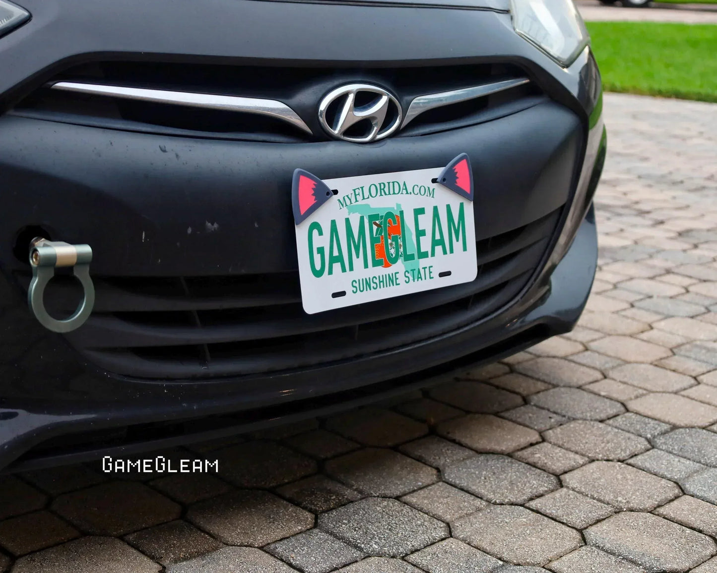 Custom Florida license plate with cat ears on a black Hyundai car, parked on a paved driveway.