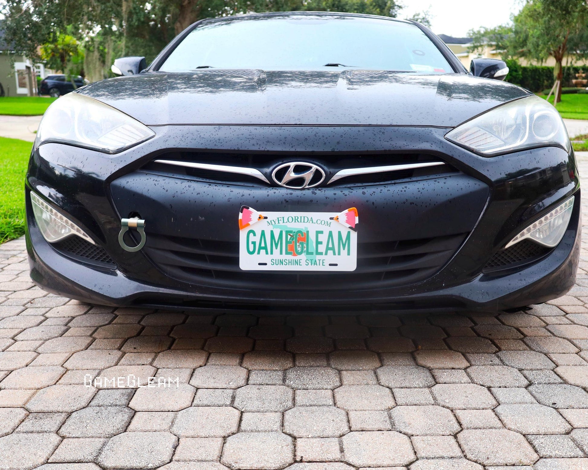 Black car with a custom Florida license plate reading GAMEGLEAM parked on a brick driveway